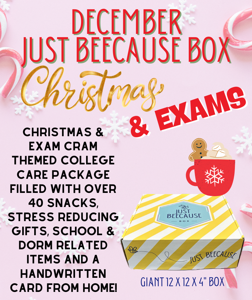 FURMAN ONLY - Holiday 4 Box Bundle 2025/2026