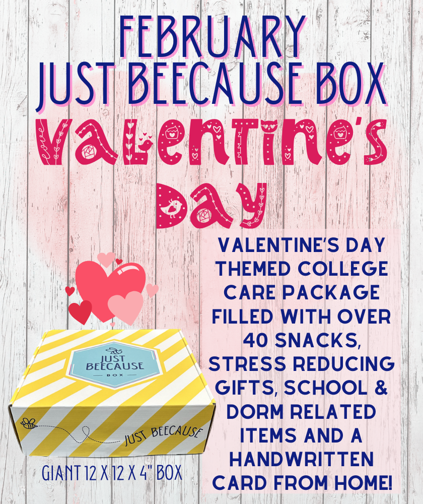 FURMAN ONLY - Holiday 4 Box Bundle 2025/2026