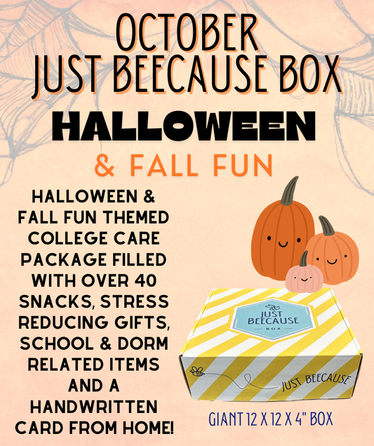 Mailed October College Care Package