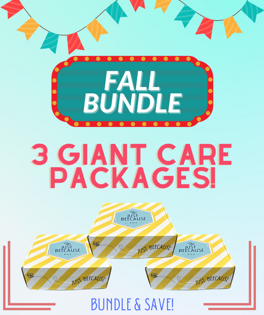 Fall Semester 3 Box Bundle