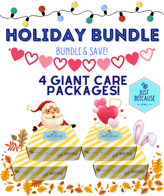 FURMAN ONLY - Holiday 4 Box Bundle 2025/2026
