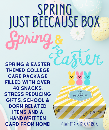 FURMAN ONLY - Holiday 4 Box Bundle 2025/2026