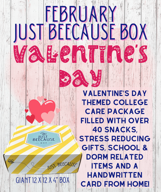 Valentine's Day Care Package