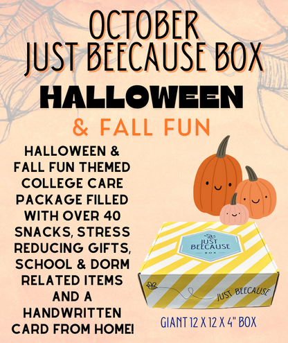 FURMAN ONLY - Holiday 4 Box Bundle 2025/2026