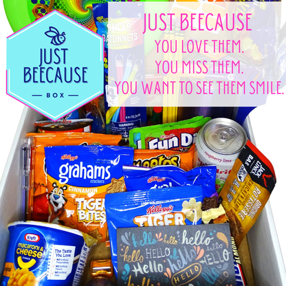 Mailed Just Beecause Box